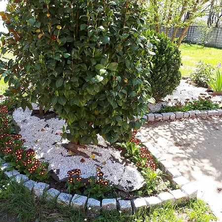 Vilanova بيت ضيافة